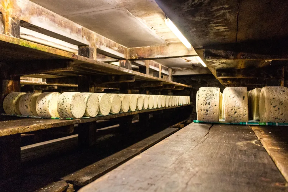 cave de roquefort